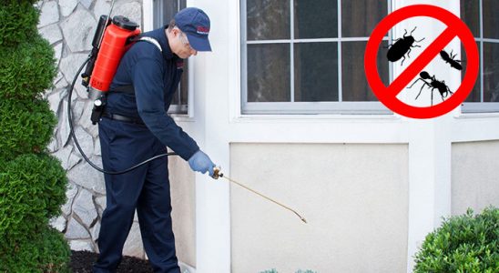 Nergiz Kemirgen İlaçlama böcek ilaçlama ve haşere kontrolü — ilaclama-tr.com